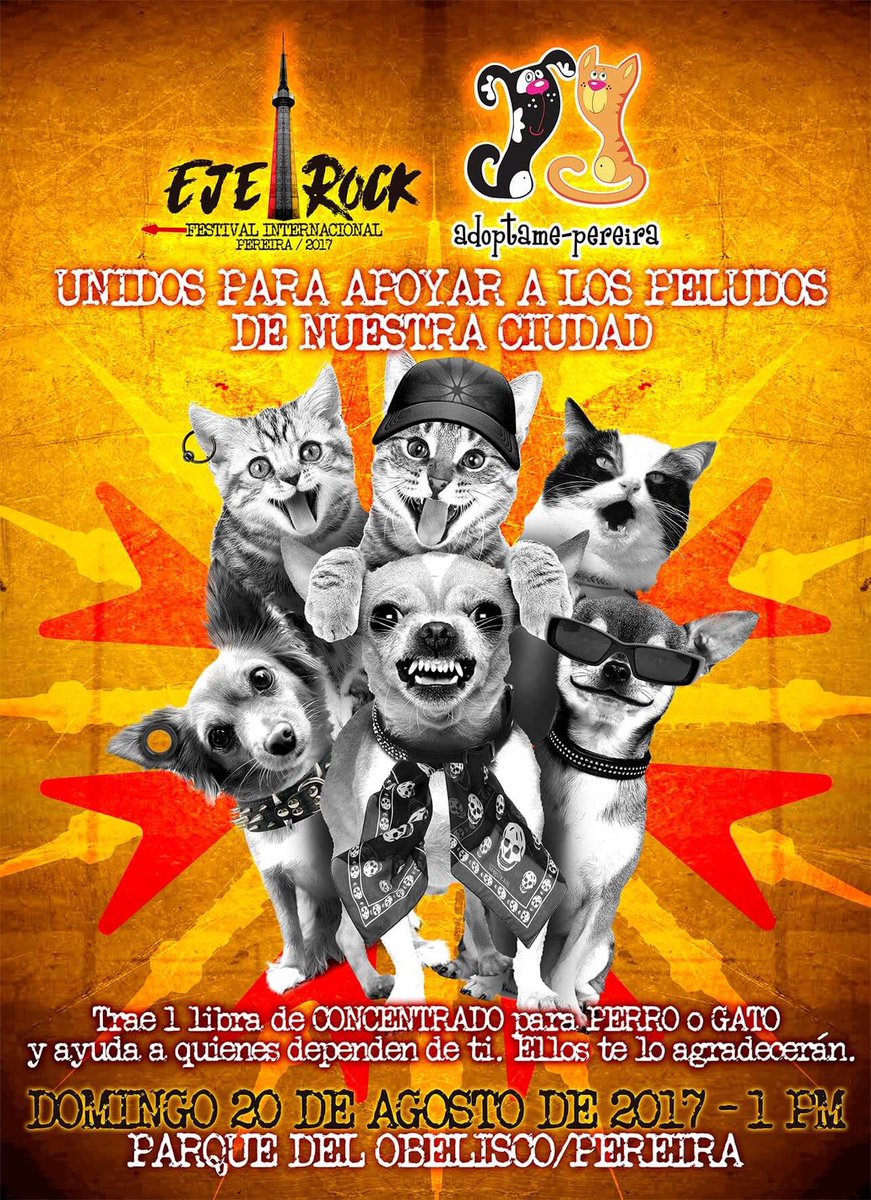 Seguimos apoyando los peludos !
Esperamos también poder contar con tu apoyo para salvar vidas de animales en condición de abandono. RT