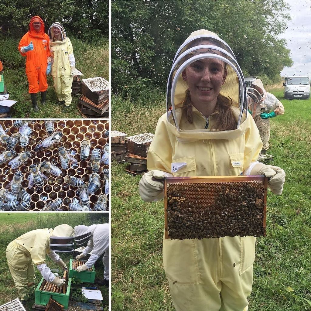 Karen_x's tweet photo. Had so much fun giving beekeeping a go at @quincehoneyfarm today! 🐝 #beekeeping #beekeeper #quincehoneyfarm #quinc… https://t.co/mybfZXi4sN https://t.co/PoYbJJqAnW