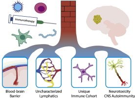 Dr_ASingh's tweet image. #ImmuneEngineering (10/23): Ravi Bellamkonda et al discuss &quot;Engineering challenges for #brain #tumor #immunotherapy&quot; sciencedirect.com/science/articl…