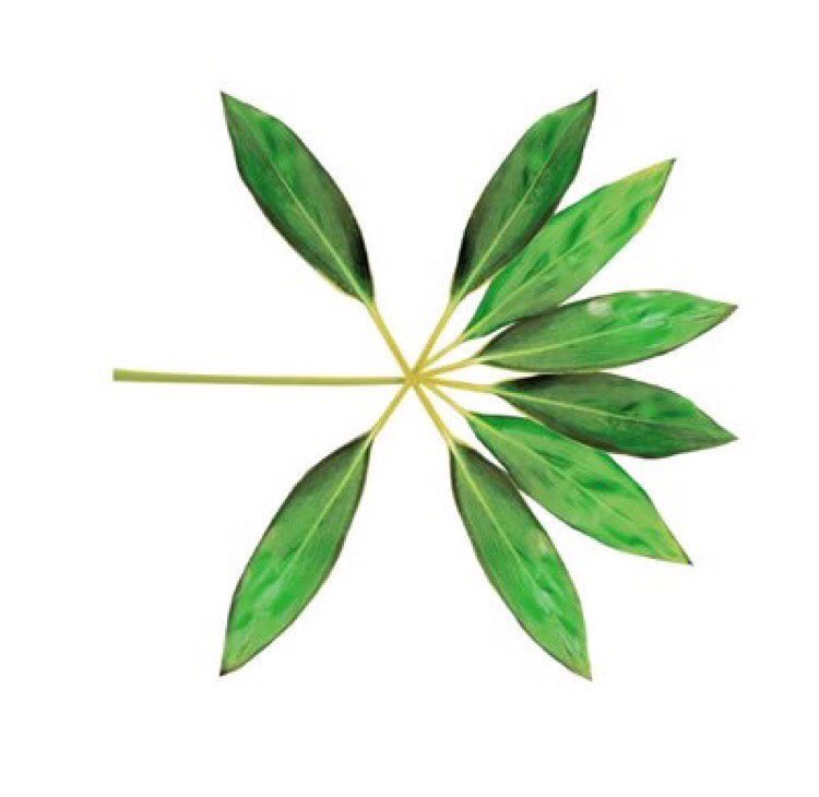 FatimaA266's tweet photo. #KOKOBOP https://t.co/RGjAcfG9fE