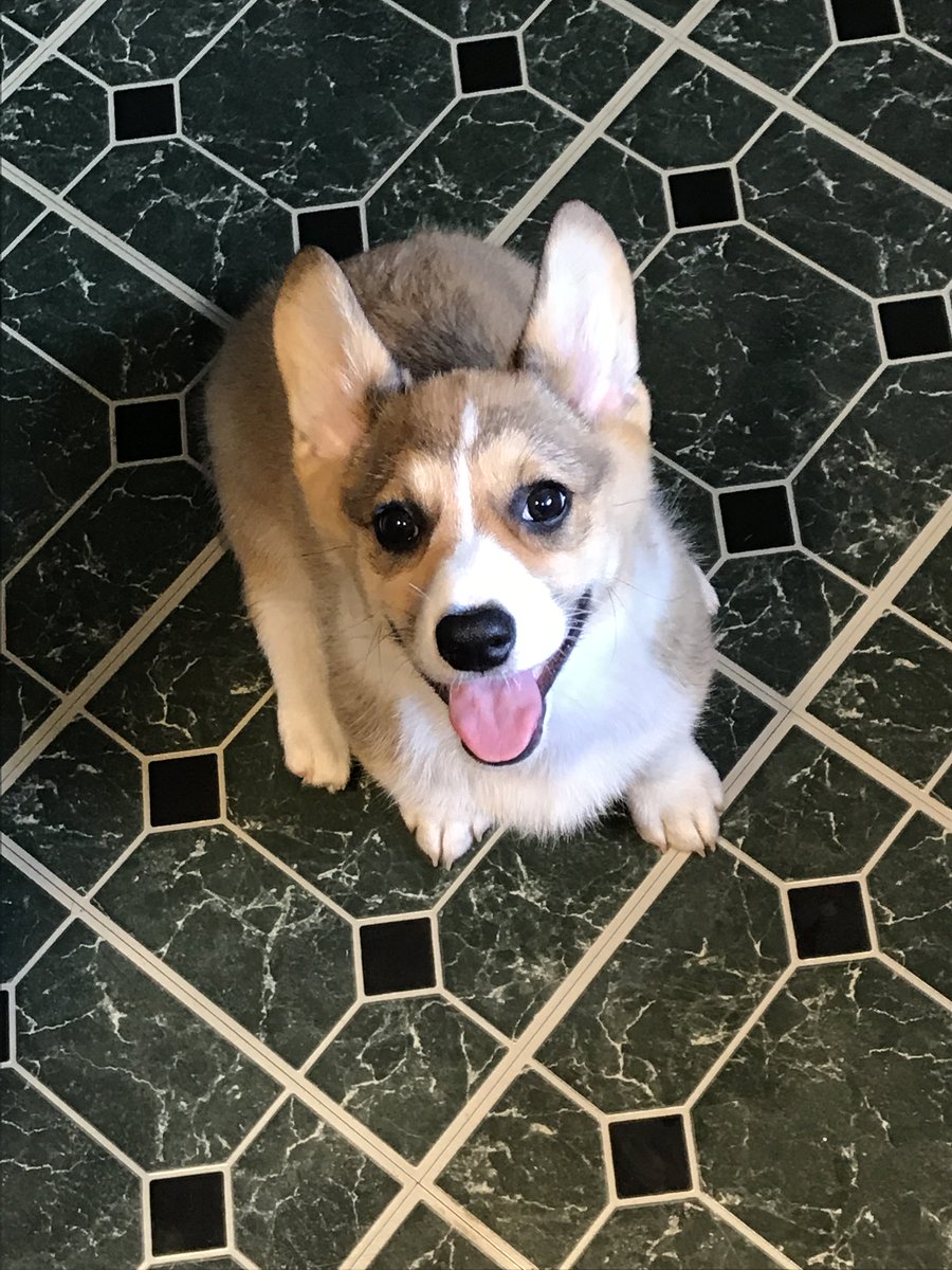 intern_winston's tweet photo. @Cinelit Hi Mary Alice! I was told I was supposed to say hello to you. https://t.co/x7GxF5BIVG