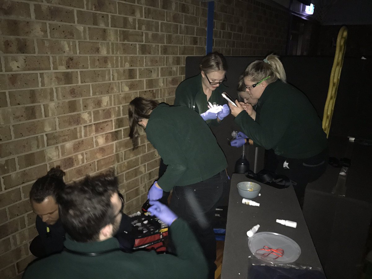 FUSPA1's tweet photo. #FUSPACamp Surprise Simulation - secretions from all areas, GCS going down, poisoning? They have to find out - #Simulation https://t.co/MBY7szPjux