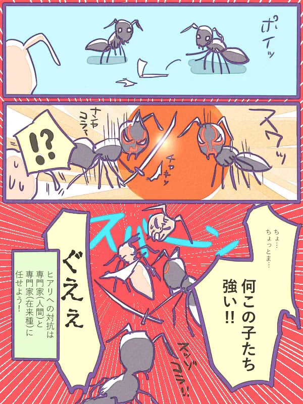 うわ日本のアリさん強い…！在来アリもヒアリ対策の1つ！