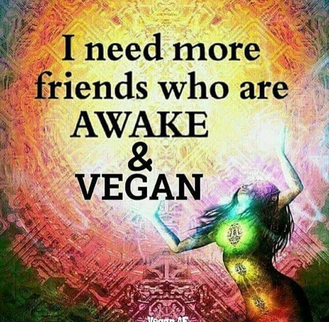 sandreti's tweet photo. #HelloVegans
#TheRightChoice
#TheOnlyChoice
#CrueltyFreeWorld https://t.co/rCec3G8AXs