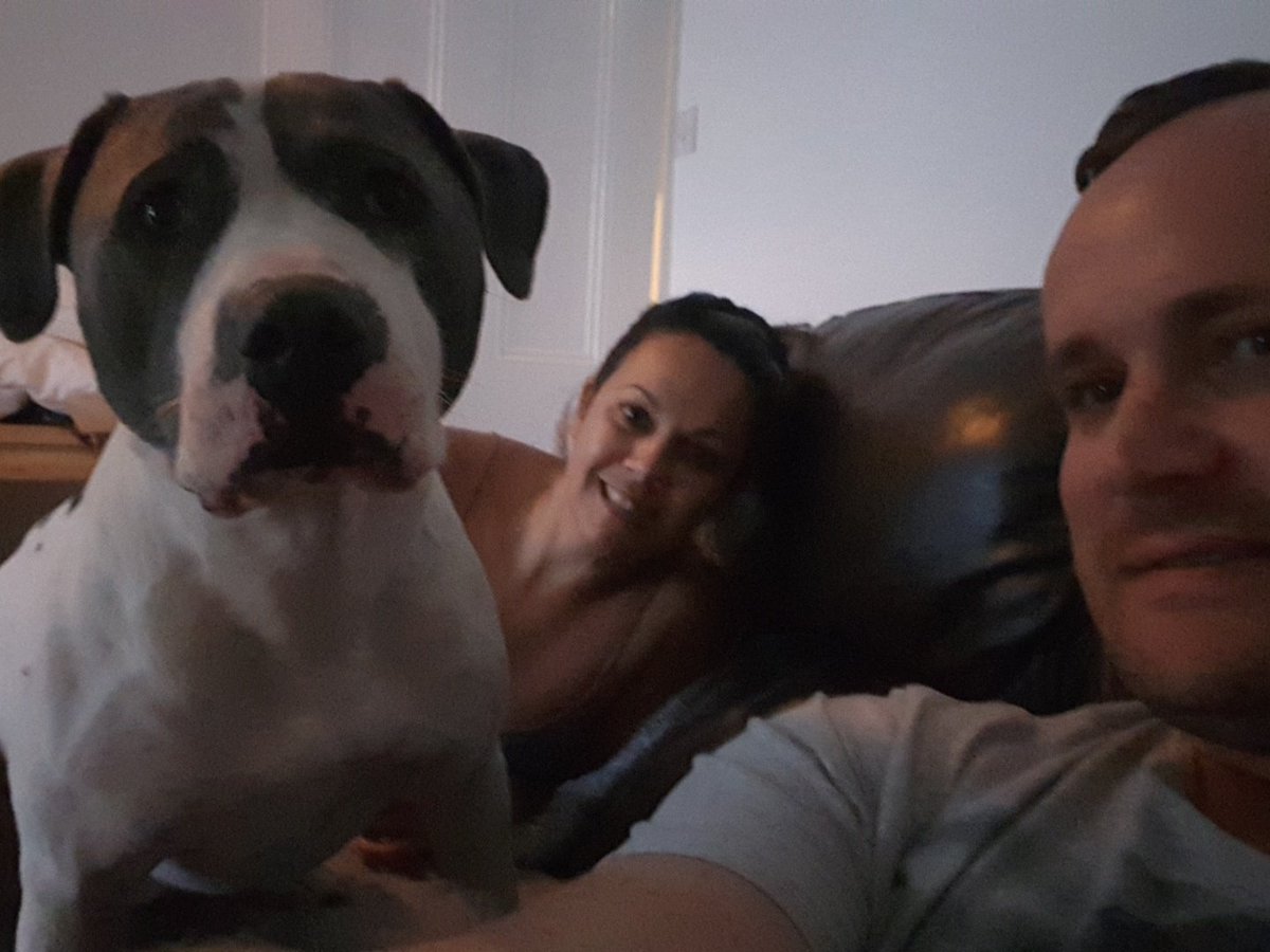 SmartIntercoms's tweet image. #nightin#wife#cooper#notbad