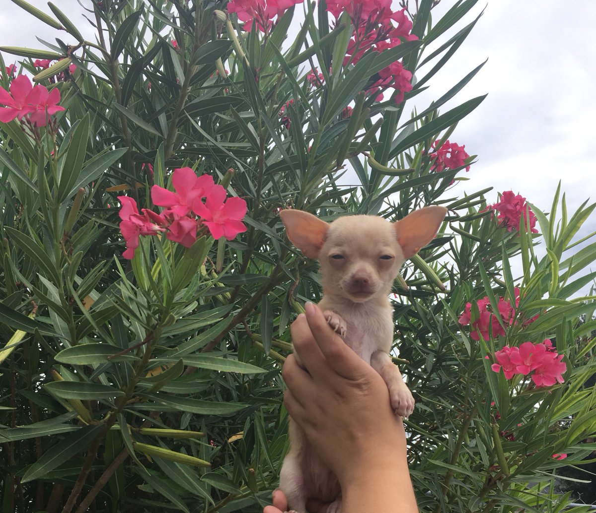 taquitoelcabron's tweet photo. me siento bien cute https://t.co/EG9aQQJNil