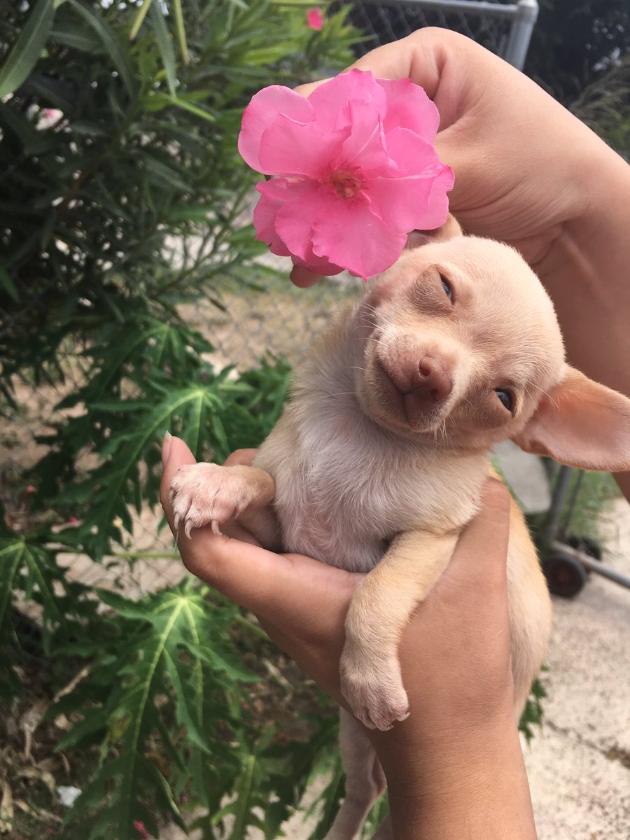 taquitoelcabron's tweet photo. me siento bien cute https://t.co/EG9aQQJNil