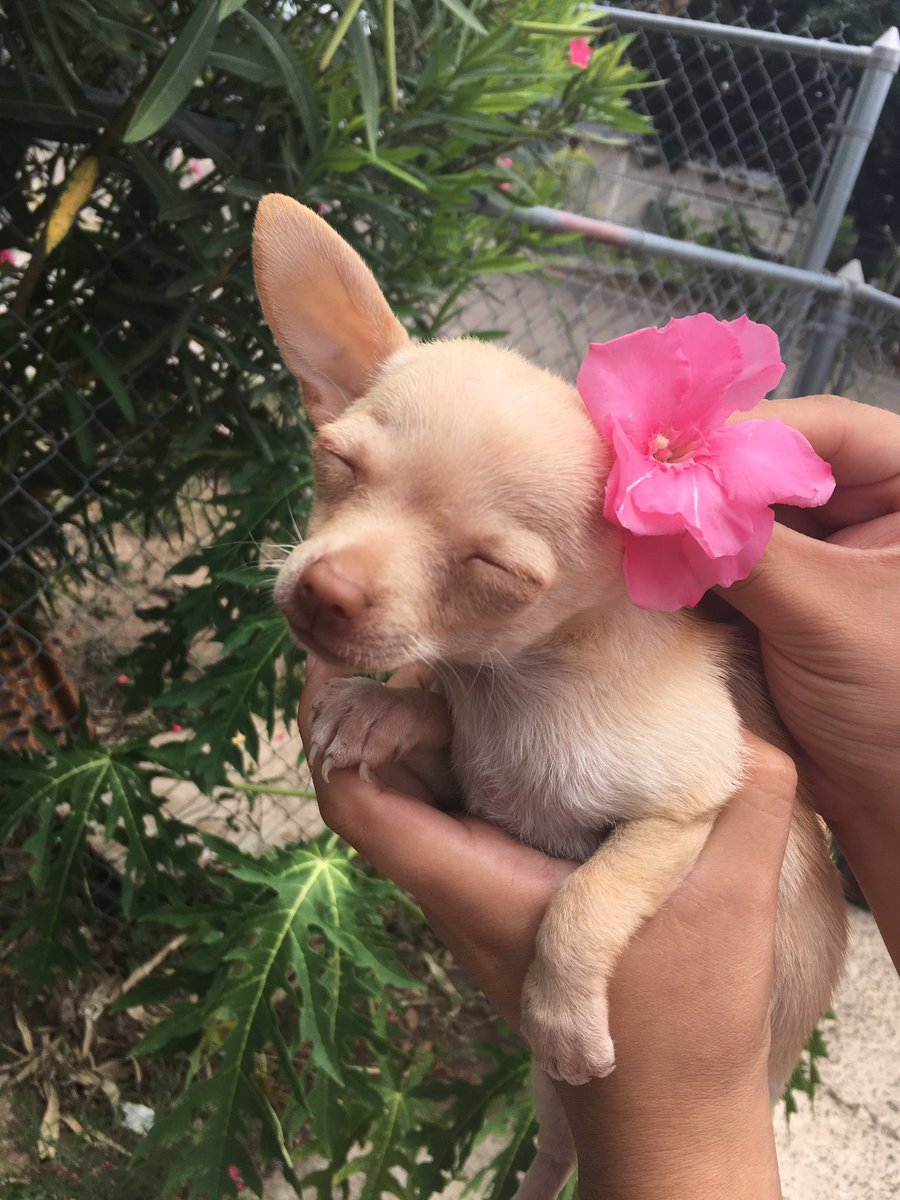 taquitoelcabron's tweet photo. me siento bien cute https://t.co/EG9aQQJNil