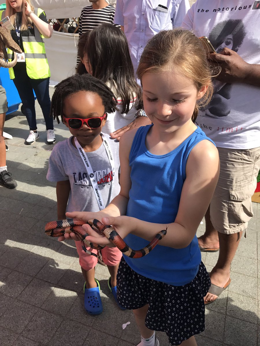 JennyFives's tweet photo. Lovely afternoon with our Partner @MediaCityUK for the #SummerSocial 🌞@Westgrove_Group #partnership #teamwork #fun https://t.co/e04sbCYkbt