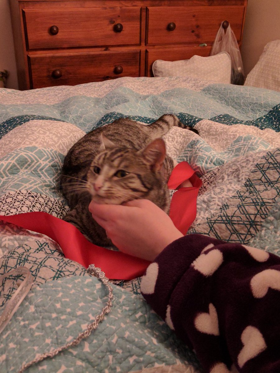 Dean Camera tweet media