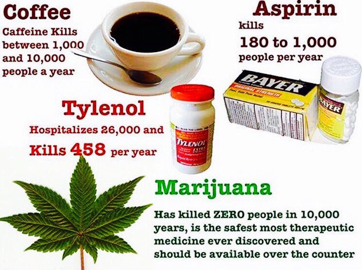 Squeegee Beckenheim (Squeegee69420) Twitter