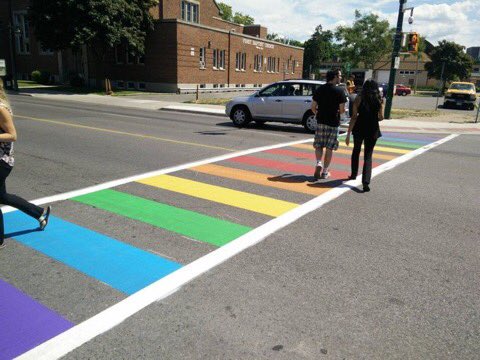 animalsgallery's tweet photo. rainbow crosswalks for pride 🌈 this is dope https://t.co/bTpYRatotV