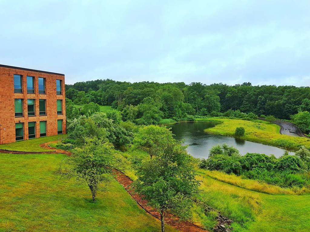 gautamr9's tweet photo. Beautiful workplace!! Loved the view. Wish they had campuses like these in India too!! #ibm #beautifulworkplace https://t.co/psE5zt7noA https://t.co/6s8UXieVkK