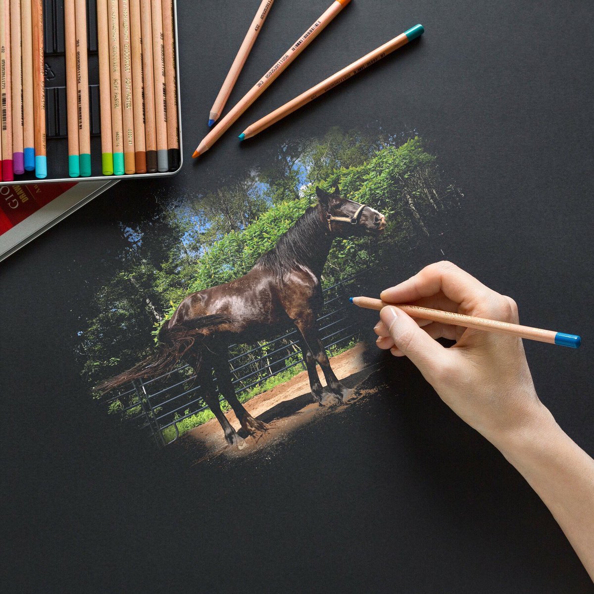 kayteegee17's tweet photo. Probably one of the best photo editing apps for iPhone! #enlight #enlightthis @EnlightPhotofox https://t.co/jOQIS2elAk