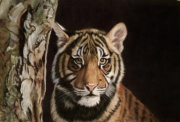 McAdamations's tweet photo. New artwork for sale! - "Tiger Cub" - https://t.co/F5Vj6Y1L9k @fineartamerica https://t.co/E4o7oaDKsH