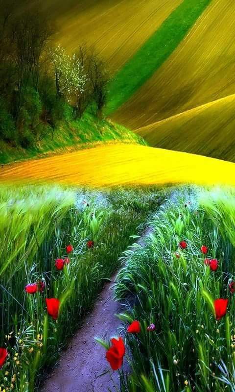 @cc_chicco <a href="/nawabito/">《本城》</a> <a href="/NerissaaEmy/">Emy Nerissa</a> <a href="/CriticaSinMiedo/">... Acta Non Verba ...</a> <a href="/zainoa67/">لغة الصور</a> @pabupabupbgv1 <a href="/Dreammer2016/">👩🏻‍🏫 ραииιуα RT 💕</a> <a href="/Lee888123/">Lee</a> <a href="/noka35520398/">no ka</a> <a href="/KhaliqueeM/">Mr. Khan</a> <a href="/khaledmhran62/">مسافر ♥♥</a> <a href="/zerok_z/">Asi ♡</a> <a href="/wjy7k1/">サマー</a> @MelindaYoe <a href="/Chef_Charmaine/">Charmaine</a> <a href="/purposefulact/">Purposeful Action</a> <a href="/nandrias1/">Nandrias</a> <a href="/kwang5andy/">Andy Kuang</a> <a href="/Marisol2224/">Magali</a> <a href="/fragonpen/">Kepler</a> <a href="/karamurat39/">karamurat</a> <a href="/IScutelnic/">Iurie Scutelnic</a> <a href="/CarolynNewsom/">Carolyn Newsom</a> <a href="/Katharin_Aurora/">Katharine•.✨.</a> @SoldatovPaul <a href="/srinualme/">Srinual Meepengjan</a> <a href="/CivilizedEngr/">Dr. iMad د. عماد</a> <a href="/Luciferke/">Anasztázia</a> <a href="/habibisilvia/">Silvia P.</a> @Ta7rmpMike @michaelyianni43 <a href="/jamalkt/">Jamal AKAR</a> <a href="/WALLI27/">Jhon f perez🎶🎸🚵☯</a> <a href="/edjlazar/">Eddie's🔁Retweet</a> <a href="/RoebuckSteve1/">Steve Roebuck</a> @Blaumeer35 <a href="/21Franchini/">Franchini Nayelli</a> <a href="/DebbieZimmer54/">Debbie</a> <a href="/FortineraZar/">Fortinera Zar</a> <a href="/NatureExtract/">Christopher David</a> <a href="/mjm246_jane/">Mary Jane Maudlin</a> <a href="/Julianmarch68/">carmelo✨</a> <a href="/EmyZedalis1/">Emy D. Zedalis</a> <a href="/muzeon1/">carlos reyes</a> <a href="/AnabstractedVie/">Stacy</a> <a href="/wojkob/">Indie Pop Rocks</a> <a href="/Jedika365/">Gayle Vaughn</a> <a href="/HassCho/">Hassan Choueib</a> <a href="/indiegop/">roy fletcher</a> <a href="/Terry_FireMedic/">Terry</a>