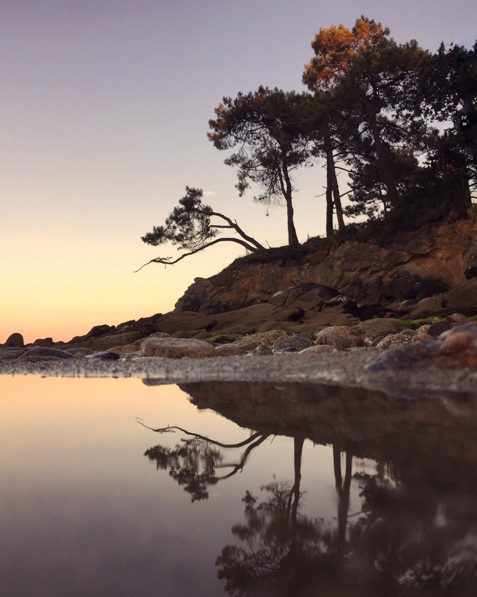 claireonline's tweet photo. A little paradise in Brittany where we arrived today.. ๐ซ๐ท @canopyandstars #fouesnant
#cscollective #naturalbeing #botconanlodges #glamping https://t.co/Dnp39jwDeO