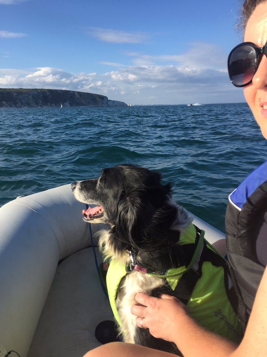 sarah_janemad's tweet photo. Lovely boat ride tonight with Benny & @graham_beeke to #Harrysrocks #swanage #studland #purbecklife https://t.co/Js0Q8RHDKI