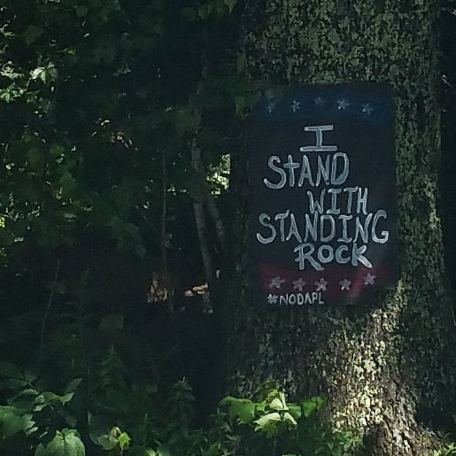 Capture603's tweet photo. Observed on roadside in Wilton, New Hampshire. #nondpl #nhpolitics #standingrock #conservation https://t.co/iWOXGprDS5