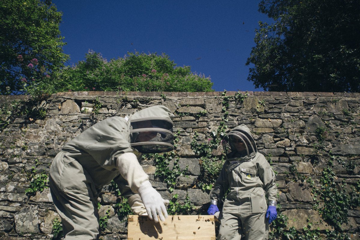 caltunney's tweet photo. Really enjoyable hive inspection &amp; coffee earlier with Emma &amp; David up @RowallaneGK @NationalTrustNI @ulsterbees #bees #beekeeping #honey https://t.co/XYQW9uqZrM