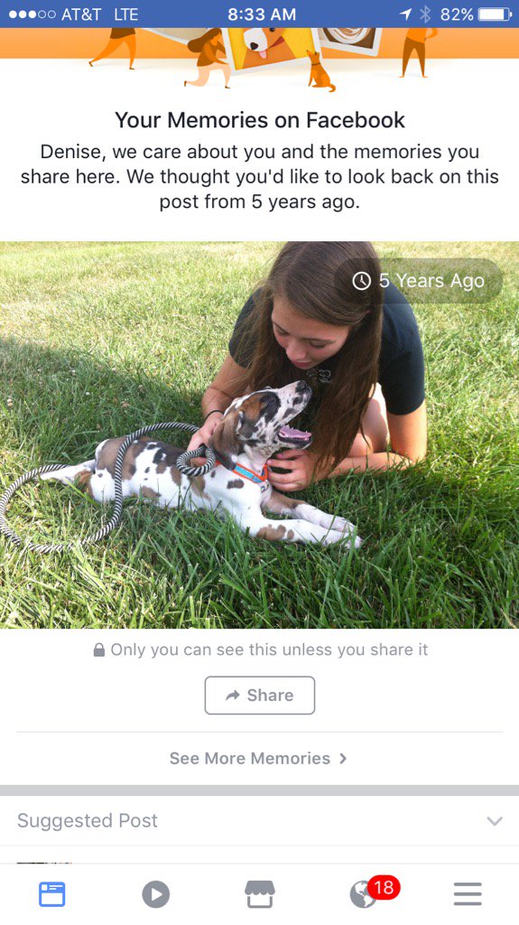 BakeryBaker's tweet photo. Aw! Amazing how much changes in 5 years; however, the love these two share will never change. So sweet! https://t.co/9zwyjDImJK