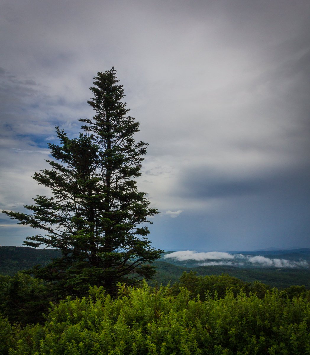 Capture603's tweet photo. Summer in #NH #millerstatepark #packmonadnock #granitestate #recreation #conservation #photooftheday https://t.co/N1dGm00CHg