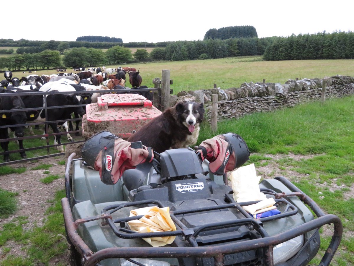 newlandfarm's tweet photo. 2Up #ViewOfTheQuad https://t.co/uNdEBrc8zU