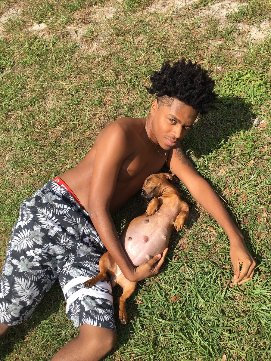 thanksuglyquan's tweet photo. My dog is pregnant so we took maternity pictures 😂😂😂 https://t.co/lPCJNXNfC2