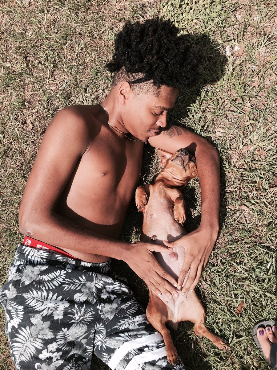 thanksuglyquan's tweet photo. My dog is pregnant so we took maternity pictures 😂😂😂 https://t.co/lPCJNXNfC2