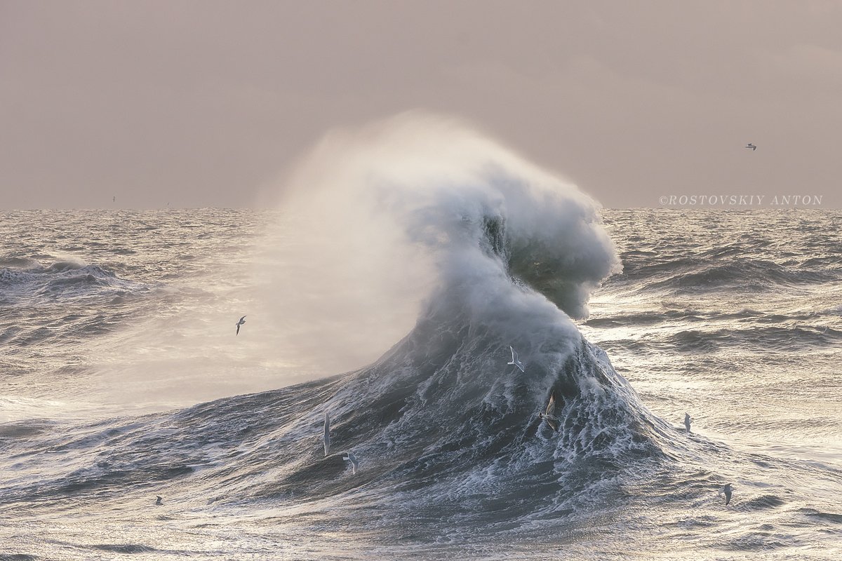 Ocean Sculpture by Anton Rostovskiy

500px.com/photo/10480993…