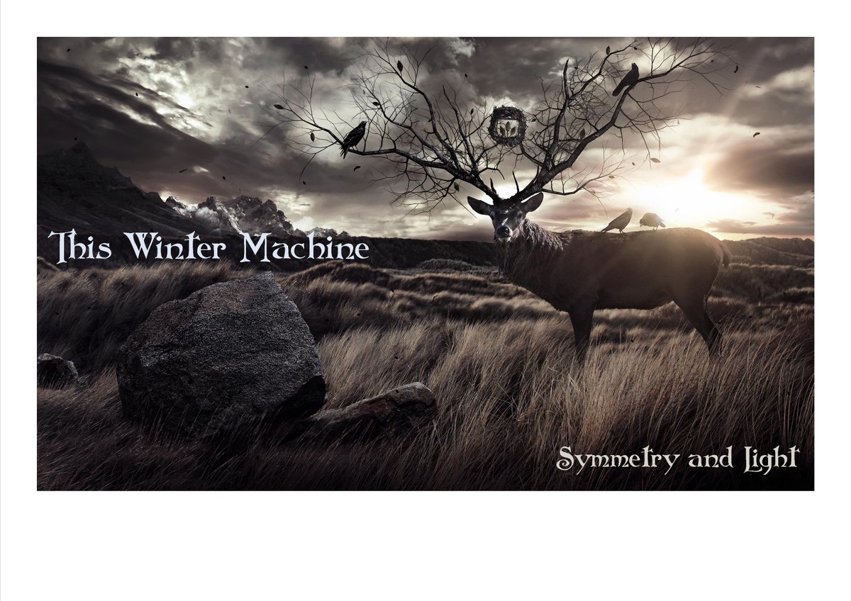 This Winter Machine (@wintermachine01) on Twitter photo 