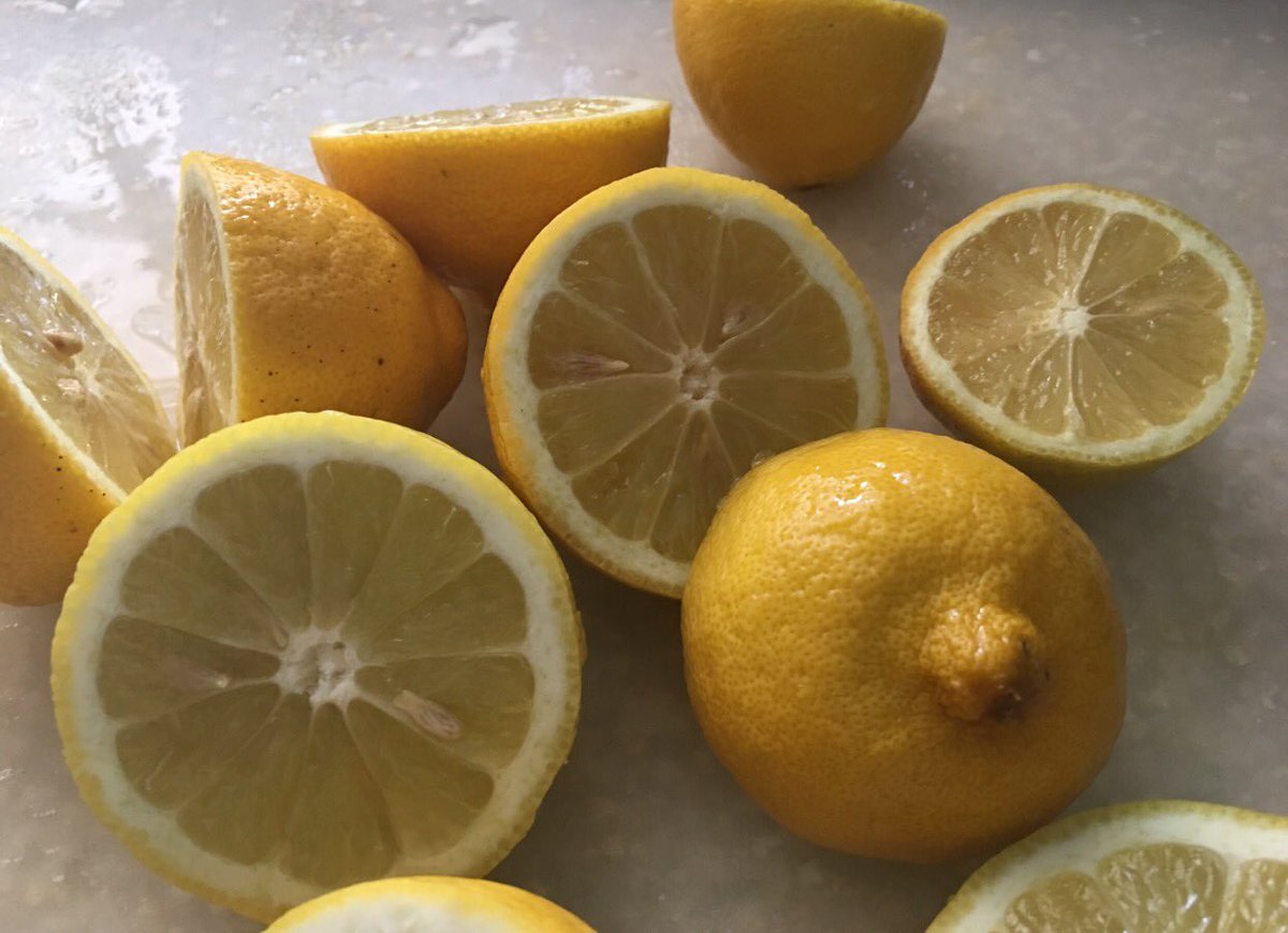 TheDesignRules's tweet image. When life gives you lemons and a heatwave, I make lemon sorbet!
