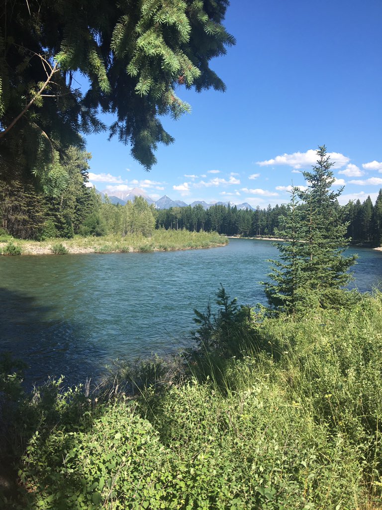 flatheadshuttle's tweet photo. Up at the Ford North Fork Access today. Amazing! https://t.co/CmzGqiGNKQ