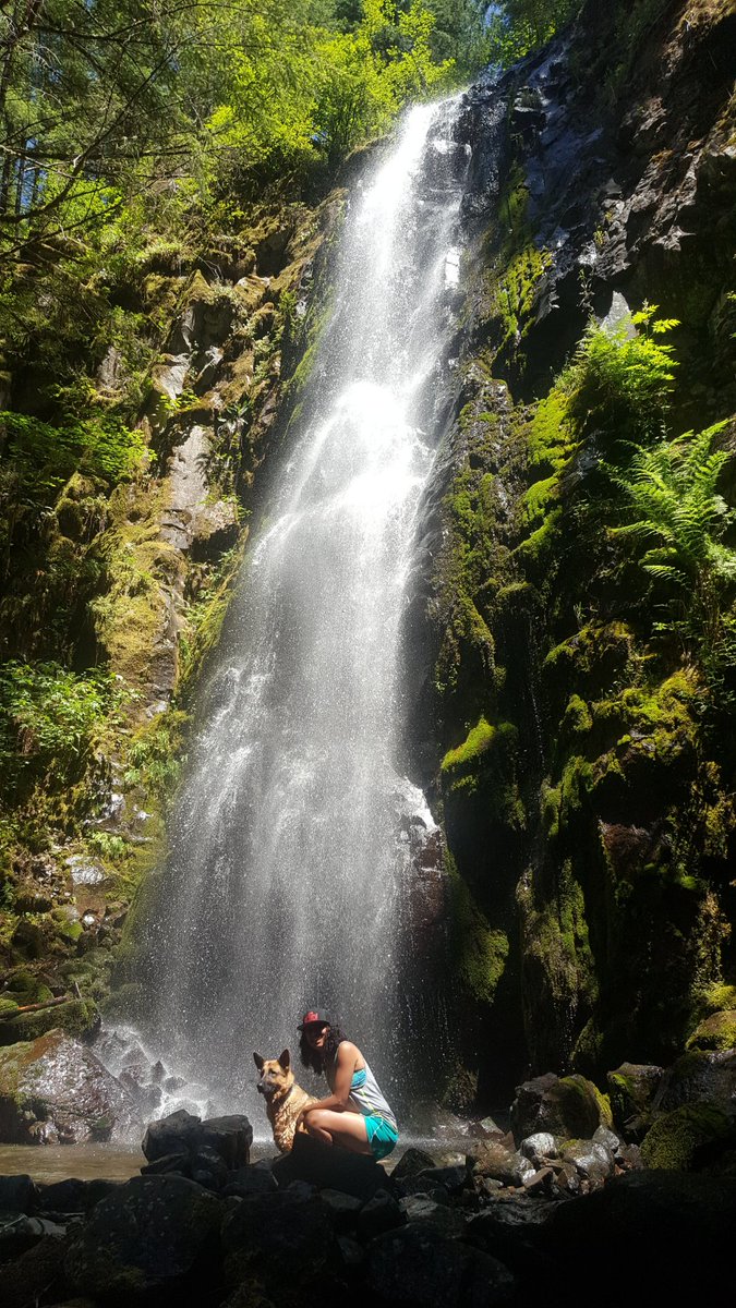 lopeznumba11's tweet photo. Tarbell trail to Hidden falls #ExploreCascadia https://t.co/ysurYR6R7X