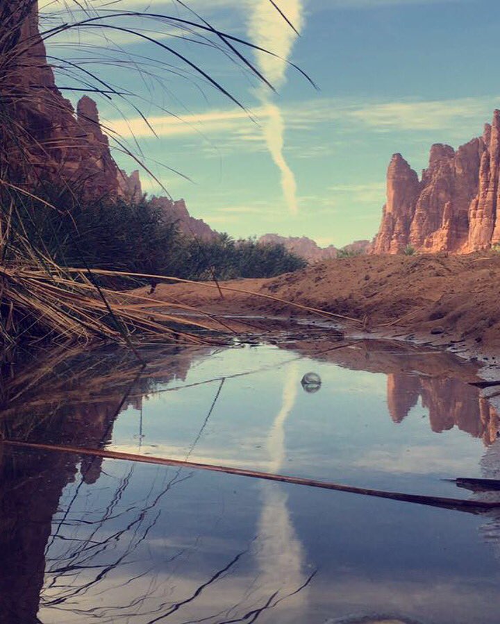 baadr_jh's tweet photo. #صوره_من_تصويرك https://t.co/q3pyHjODlV