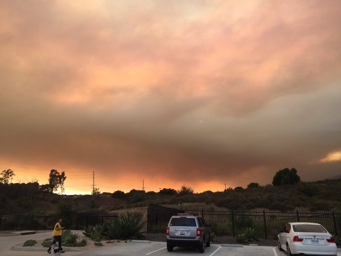 View image on Twitter