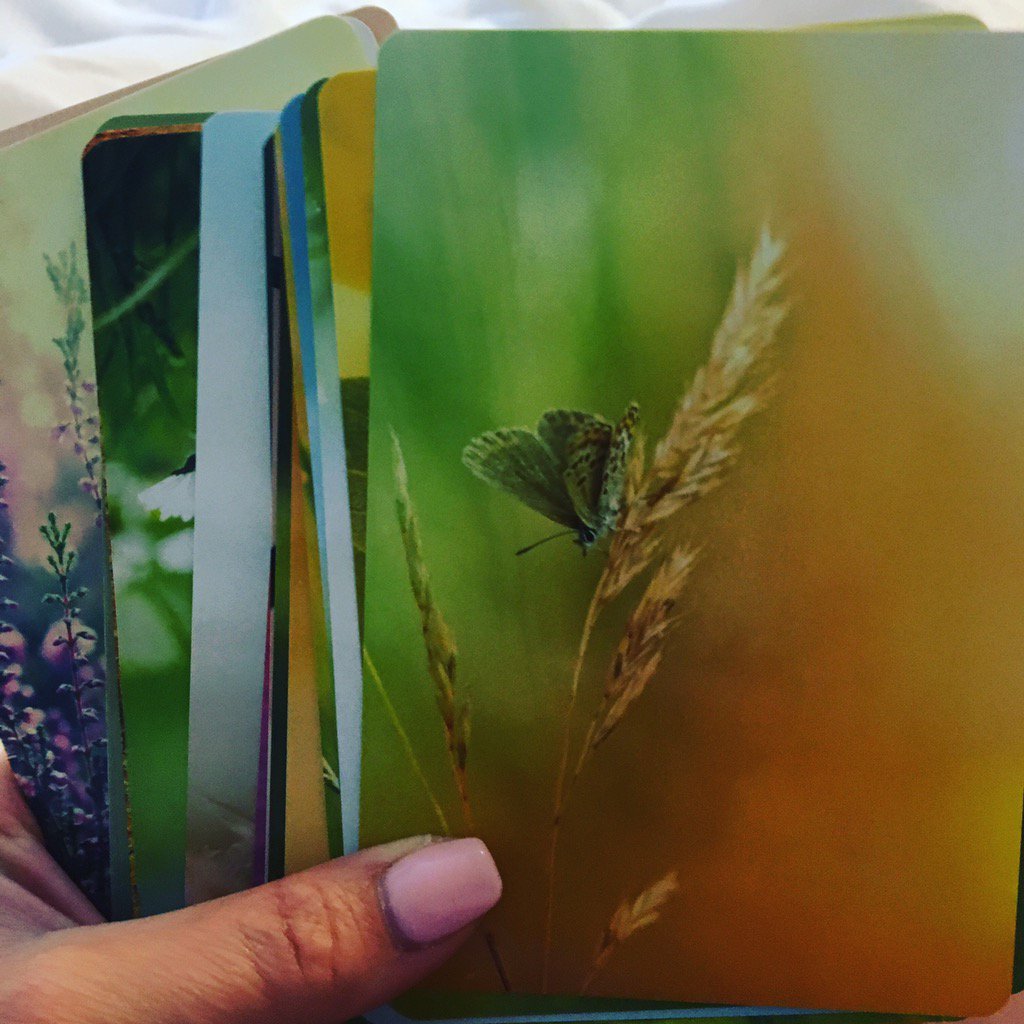 Getting some clarity on my dream 💖 #wisdom #tarotcards