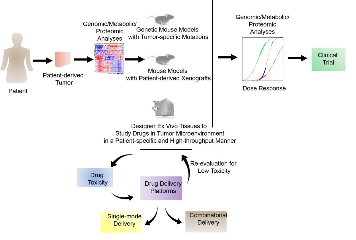 Dr_ASingh's tweet image. #ImmuneEngineering (12/23): We discuss drug discov., #epigenetics, PDX, &amp;amp; therapeutic delivery for #lymphoid #tumors sciencedirect.com/science/articl…