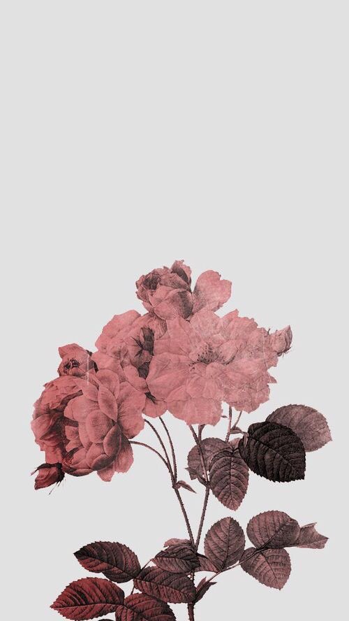 meleisdude's tweet photo. Since everyone are doing wallpaper thread. Here are some wallpaper(s) that I found cool &amp; cute. Don't forget to "Save Photo" ok ? (a thread) https://t.co/Cgns481auN