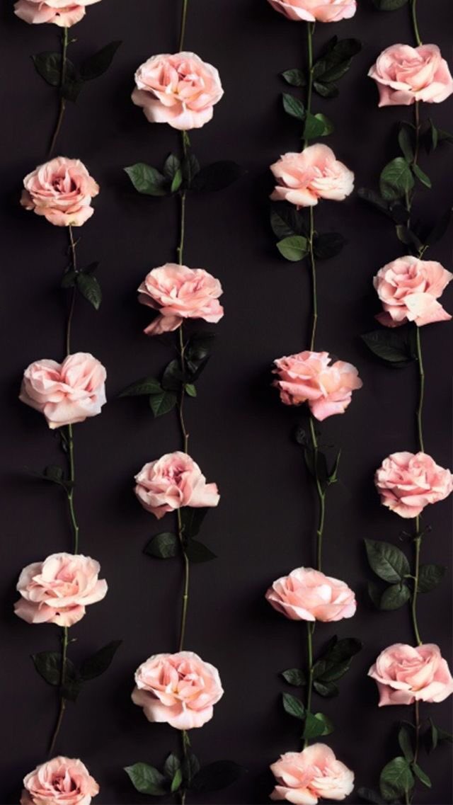 meleisdude's tweet photo. Since everyone are doing wallpaper thread. Here are some wallpaper(s) that I found cool &amp; cute. Don't forget to "Save Photo" ok ? (a thread) https://t.co/Cgns481auN