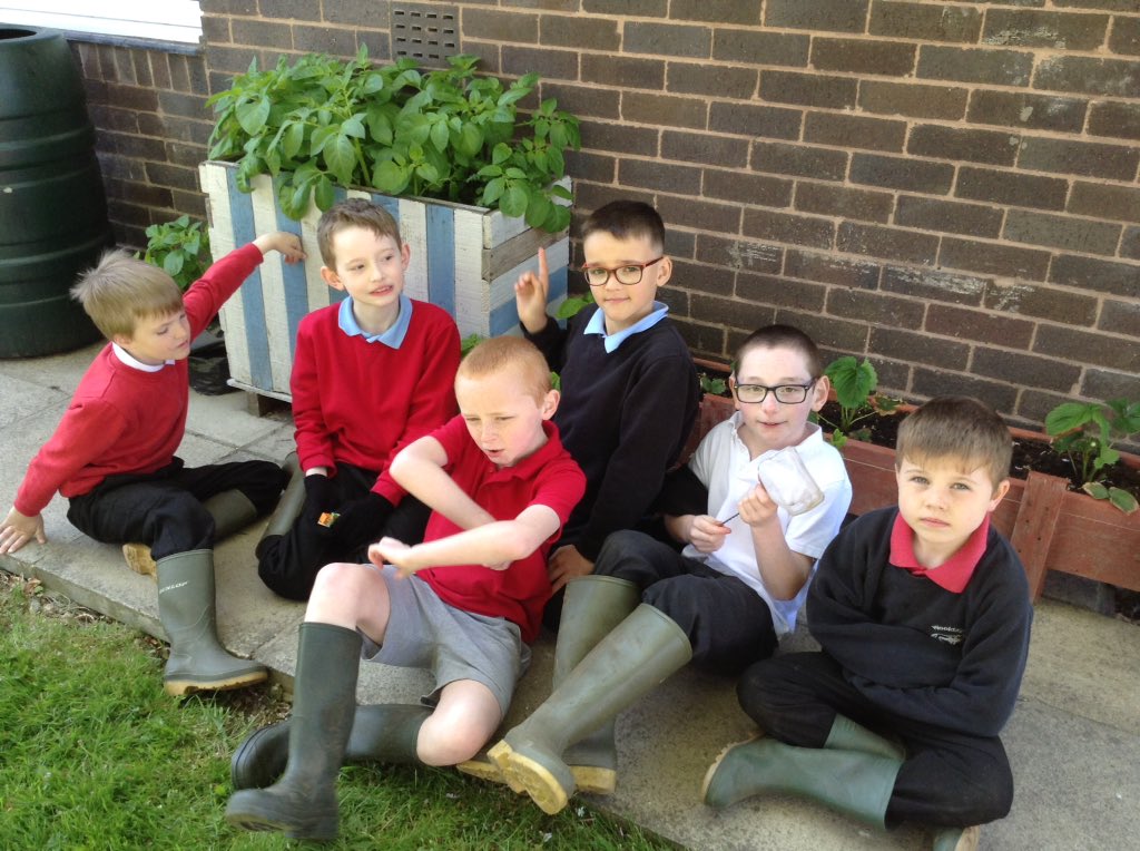 CultivationSt's tweet photo. Pick up your copy of the #Sunday @DailyMirror today to ready all about one of our fantastic Cultivation Street Schools @Wooldale_Jr_Sch https://t.co/AiQgj6xPml