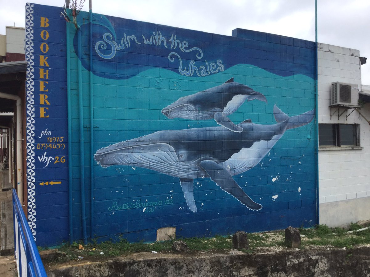 inspirationsail's tweet photo. Swim with the Whales and not the Sharks... https://t.co/O2ogD1BHBY