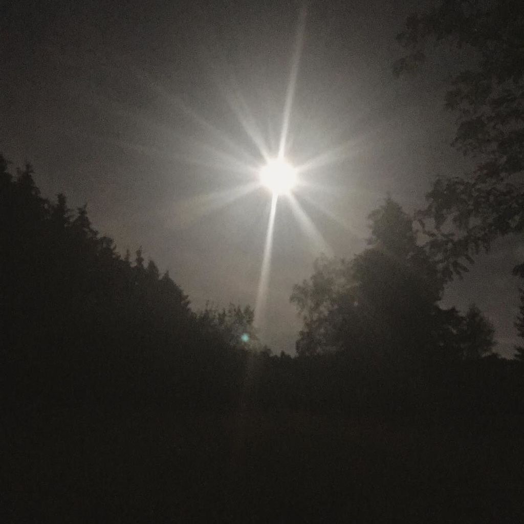 _thewitchesbrew's tweet photo. ✨Cancer sun meets Capricorn moon 🌙✨ let the cancerian tears soften the earth of capricorn so that we can root ours… https://t.co/qxeWI7DGfL https://t.co/D8cDHvkYmd
