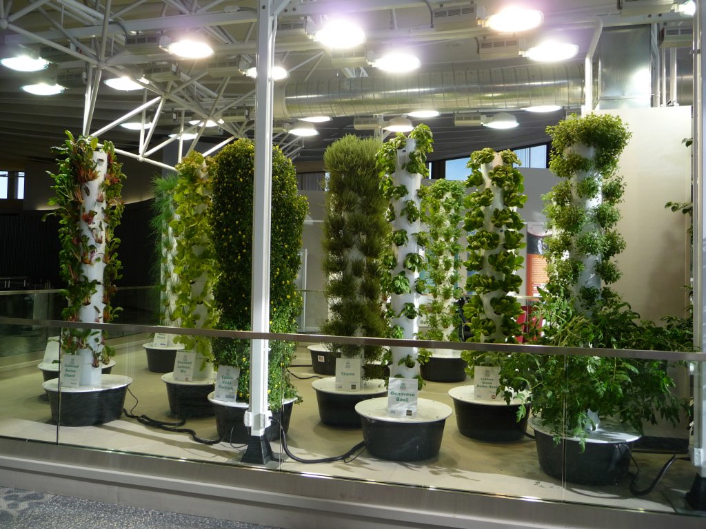 Aeroponics Garden - Chicago: ccb.towergarden.com #Gardening #Aeroponics #Agriculture #Vegetables #Herbs #Crops