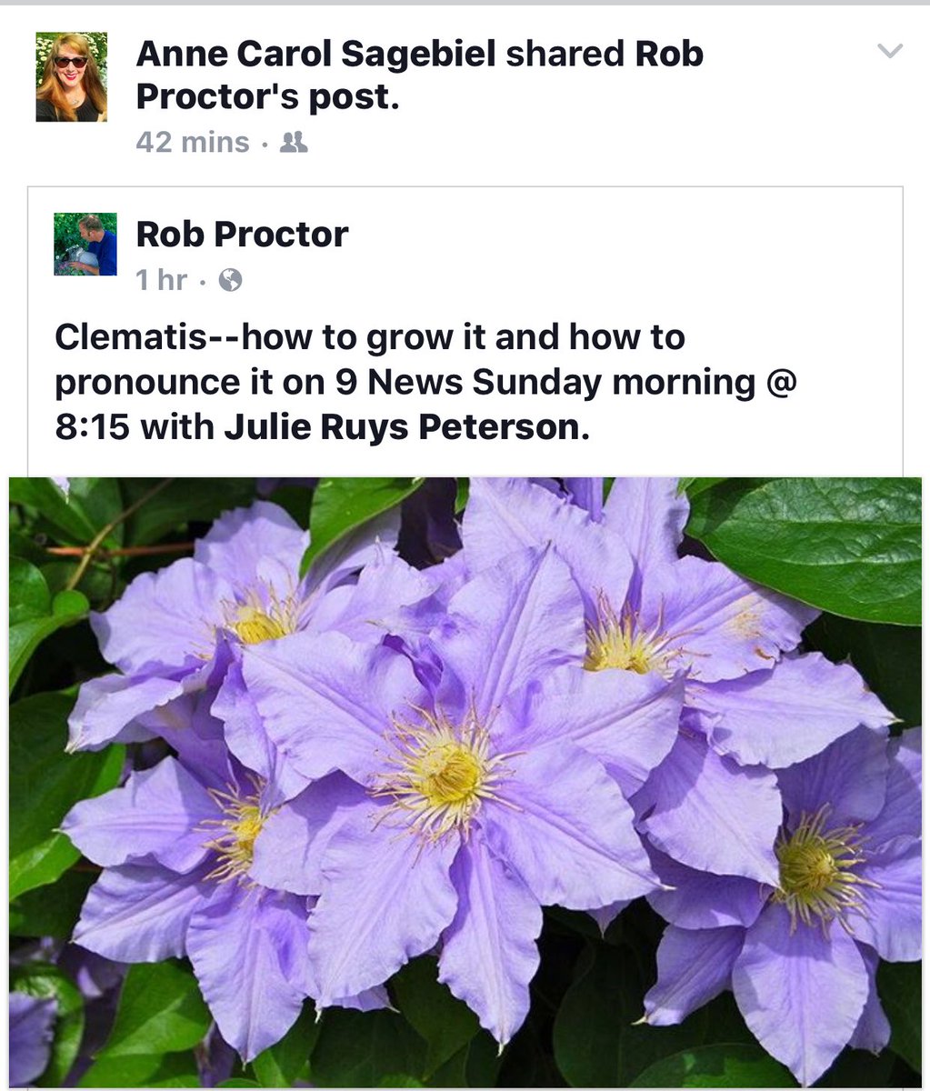 AnnieSage's tweet photo. #Denver Please tune into 9 news tomorrow morning at 8:15 am on ch.9 for some Excellent gardening advice! @ProctorsGarden 
🌿🍃🌸🌼🌹🌼🌸🍃🌿 https://t.co/YJZdS5AeoW