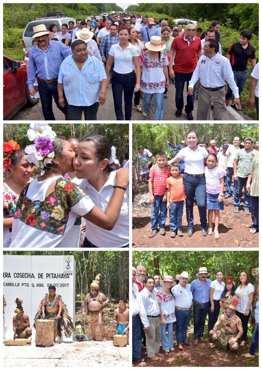 PaolyPerera's tweet photo. Con Productores de #Tihosuco en la "Primera cosecha de Pitahaya". Compartí estos momentos con delegad@s Federales y funcionarios del edo. https://t.co/zDoHkZGmt9
