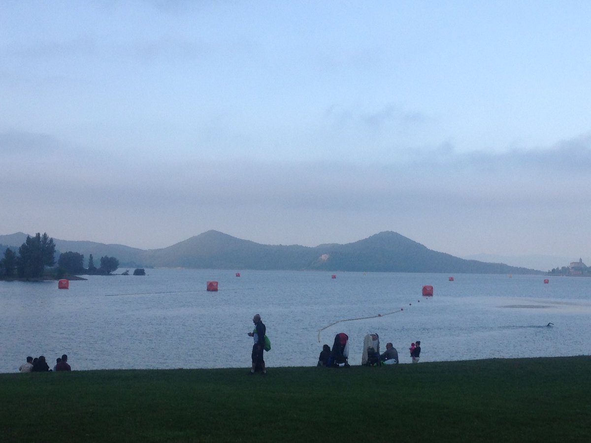 Alfredo Fernandez (AlfredoFMoro) Twitter