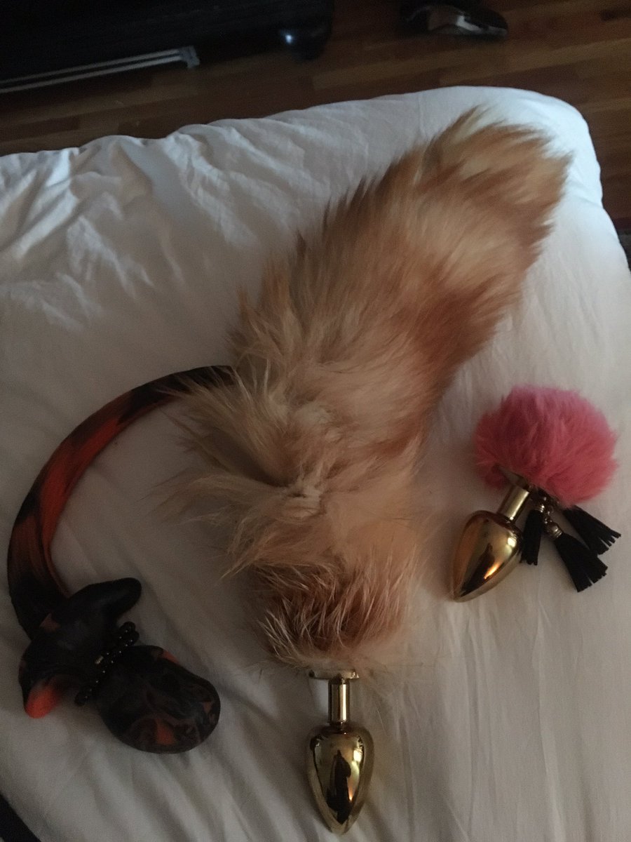 RinaTrevi's tweet photo. Very easy flowing #puppyplay time today #kink #surrender #submission #saywoof #yesmistress #buttplugtail https://t.co/zj2dysAMYz