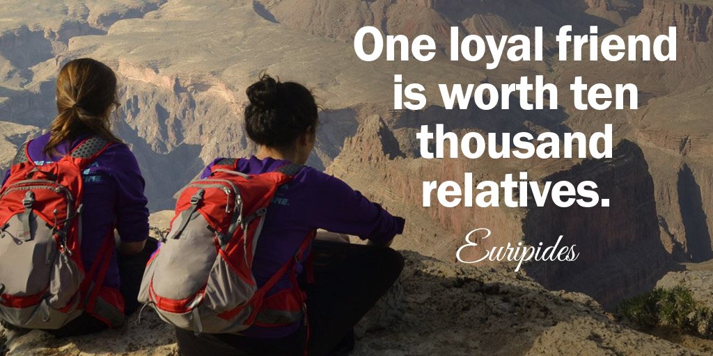 ElationCorp's tweet photo. One loyal friend is worth ten thousand relatives. - Euripides #quote #MasterYourMindset https://t.co/2TDM7oQR2d