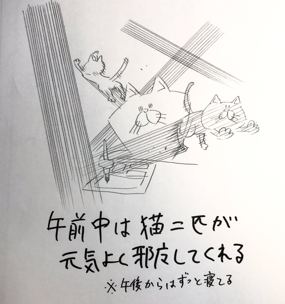 関西圏だからなのかなかなかアシスタントの応募がありません。

なのでこんな楽しい職場だよというプレゼン画像を載せますので興味のでた方は下記URLをご覧ください。

在宅アシも募集しております。 